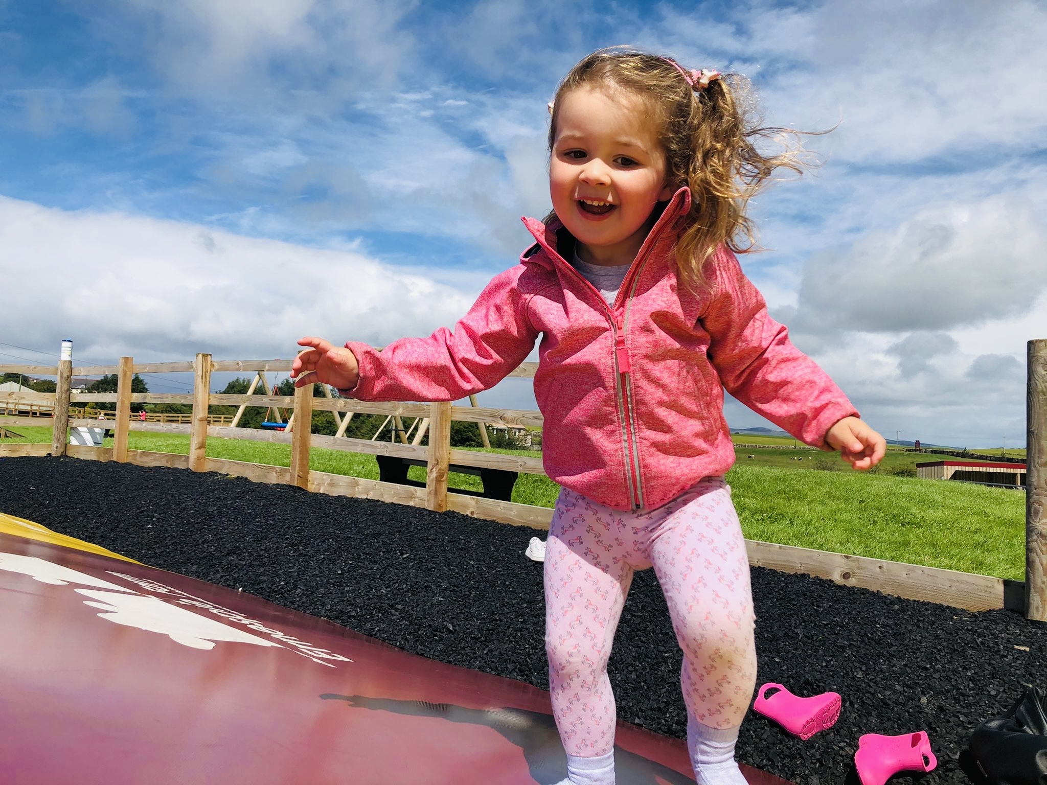 Ernespie Farm Centre Castle Douglas Development Forum